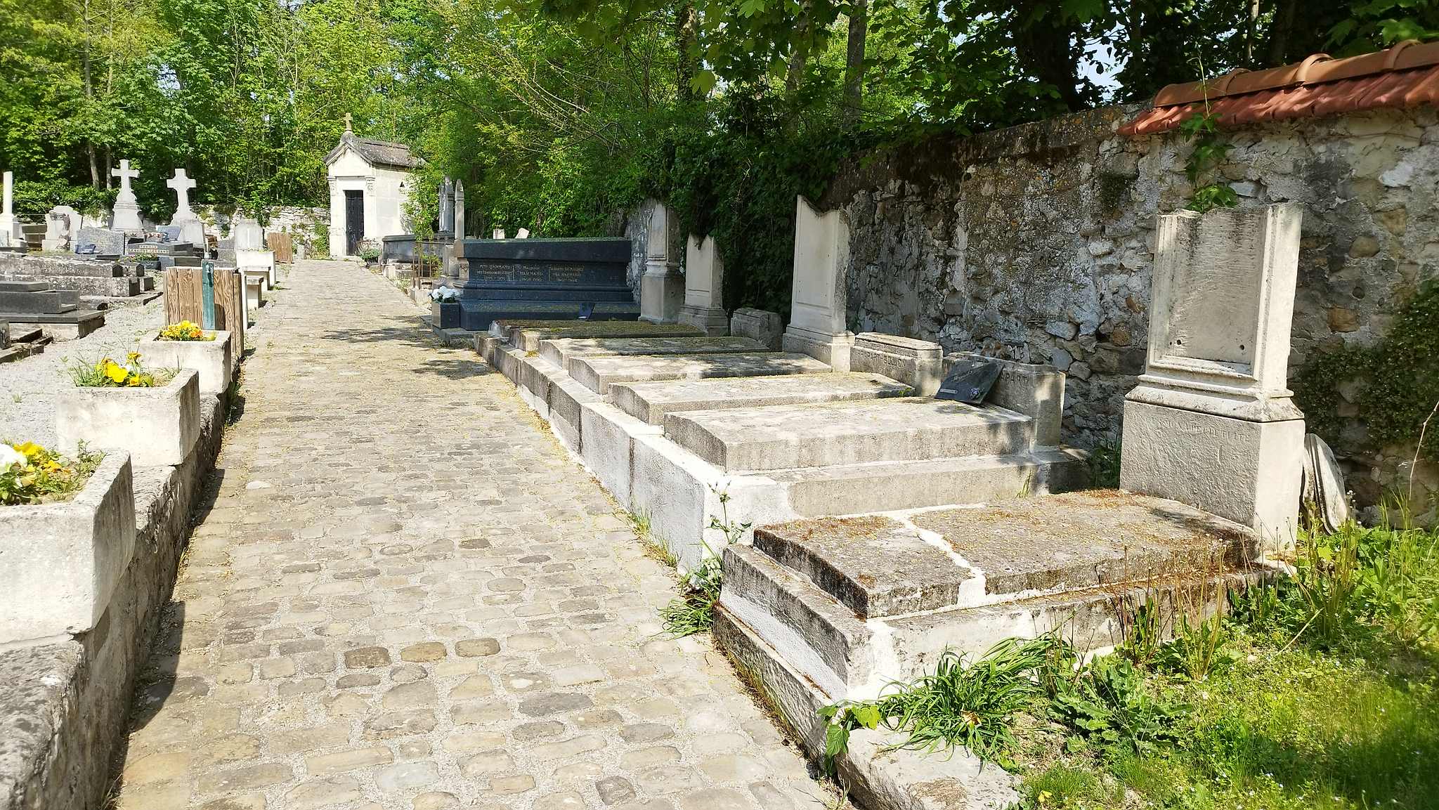 WEB IMG 20220424 121204