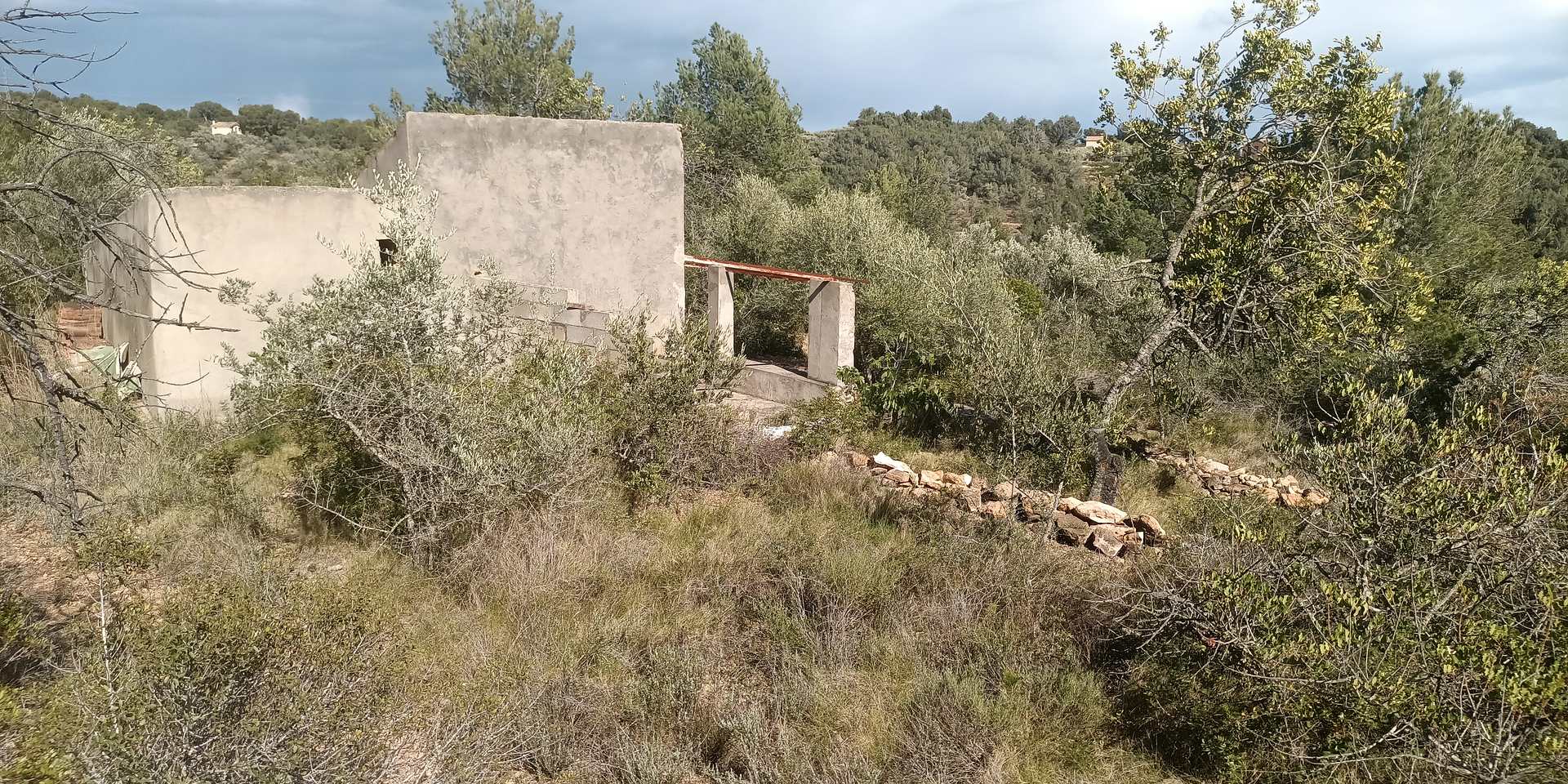 Start Projekt Garrofero In Spanien